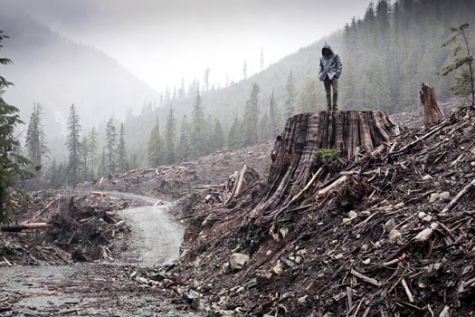 Six to see at Hot Docs. From the film If a Tree Falls: A story of the Earth Liberation Movement