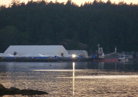 The MV Sun Sea (right) and the impromptu refugee processing centre set up to received 490 Tamils. As seen from across the harbour on the shore of the Esquimalt First Nation after the ship’s arrival on Aug. 13, 2010. Photo: Wongo888/Flickr