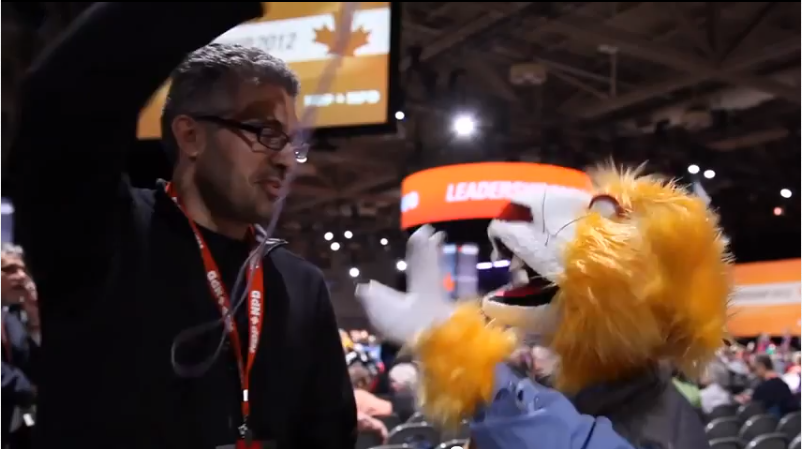 Cat Reporter playing with string at the NDP Convention.