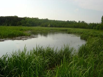 Melancthon Township is due to be the new home of North America's second-largest open-pit mine, digging limestone out of the surrounding countryside.