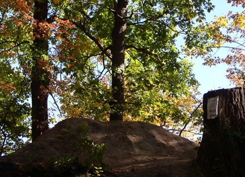 Watersnake Mound, a burial site for 3,000 years, in Toronto's High Park. Photo: Catherine Tammaro