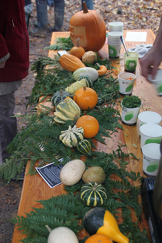 Foodstock. Photo: LexnGer/Flickr