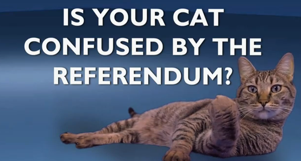 Britain's electoral reform referendum explained by kittens