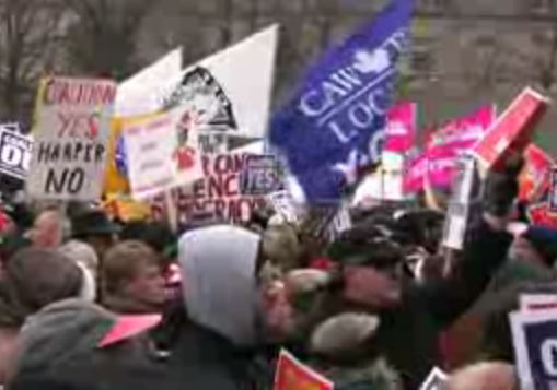 Pro-coaltion protest in Toronto