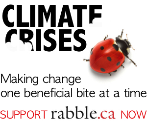 beneficial bug box Climate crises v4