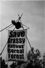 grassy narrows