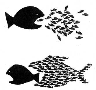 organize-fish-3