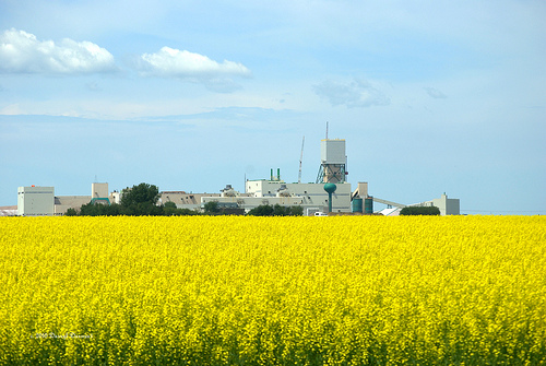 Photo: Just a Prairie Boy/Flickr