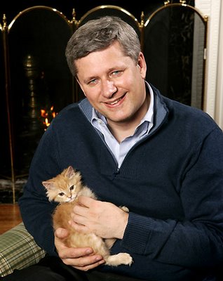 stephen-harper-kitten