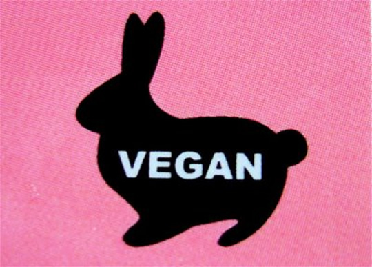 vegan-rabbit