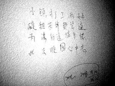 Wall graffiti written in Chinese on a greenhouse bathroom stall. Photo: Aylwin Lo
