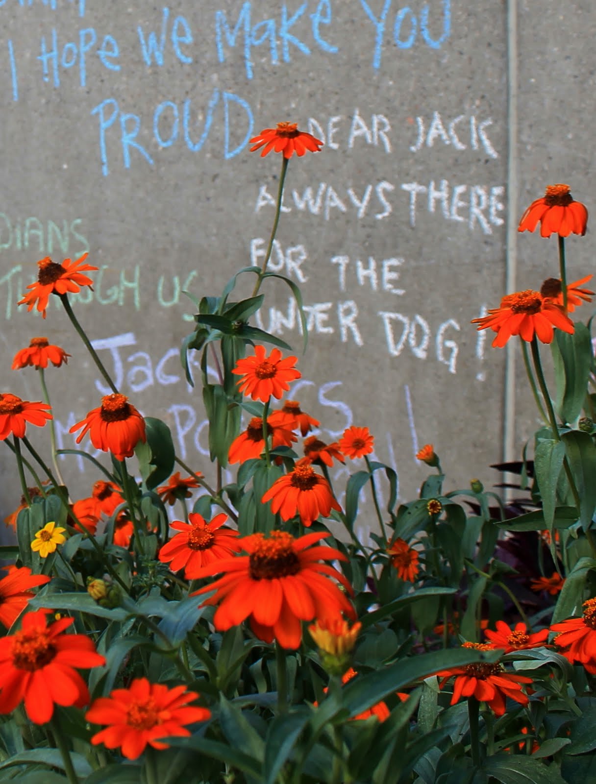 Messages like this covered Nathan Phillips Square in Toronto last August.