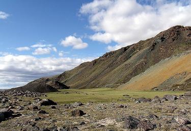 Green Arctic meadow on northern Baffin Island. Photo: Mike Beauregard/Flickr