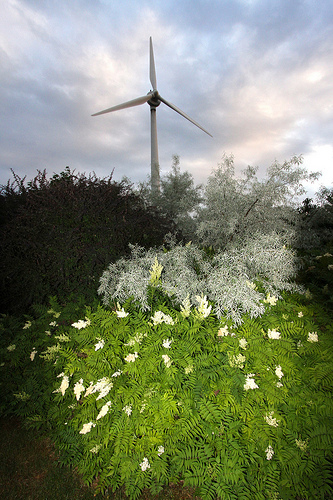 Toronto wind turbine. Photo: David Dodge/Green Energy Futures/Flickr