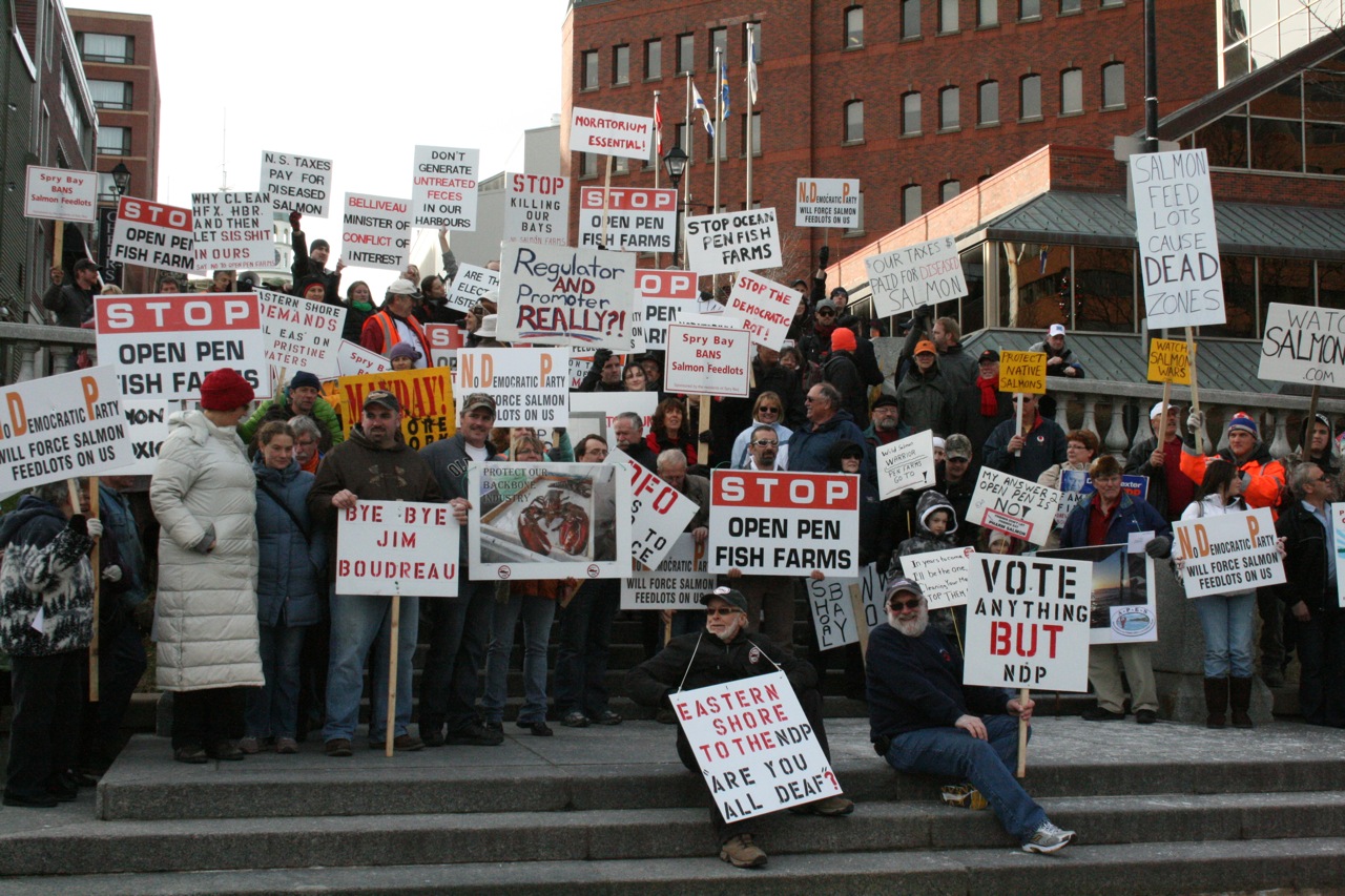 Aquaculture Moratorium rally