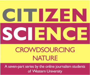 citscience_0