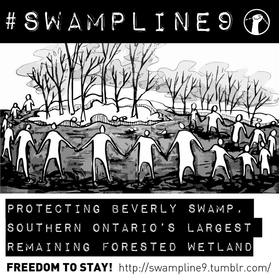 swamp