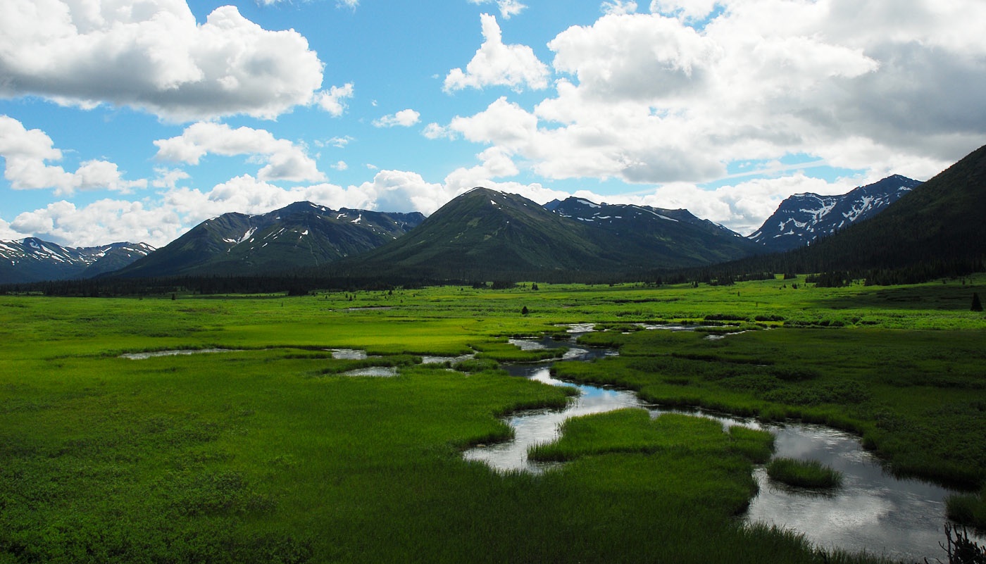 skeenaheadwaters