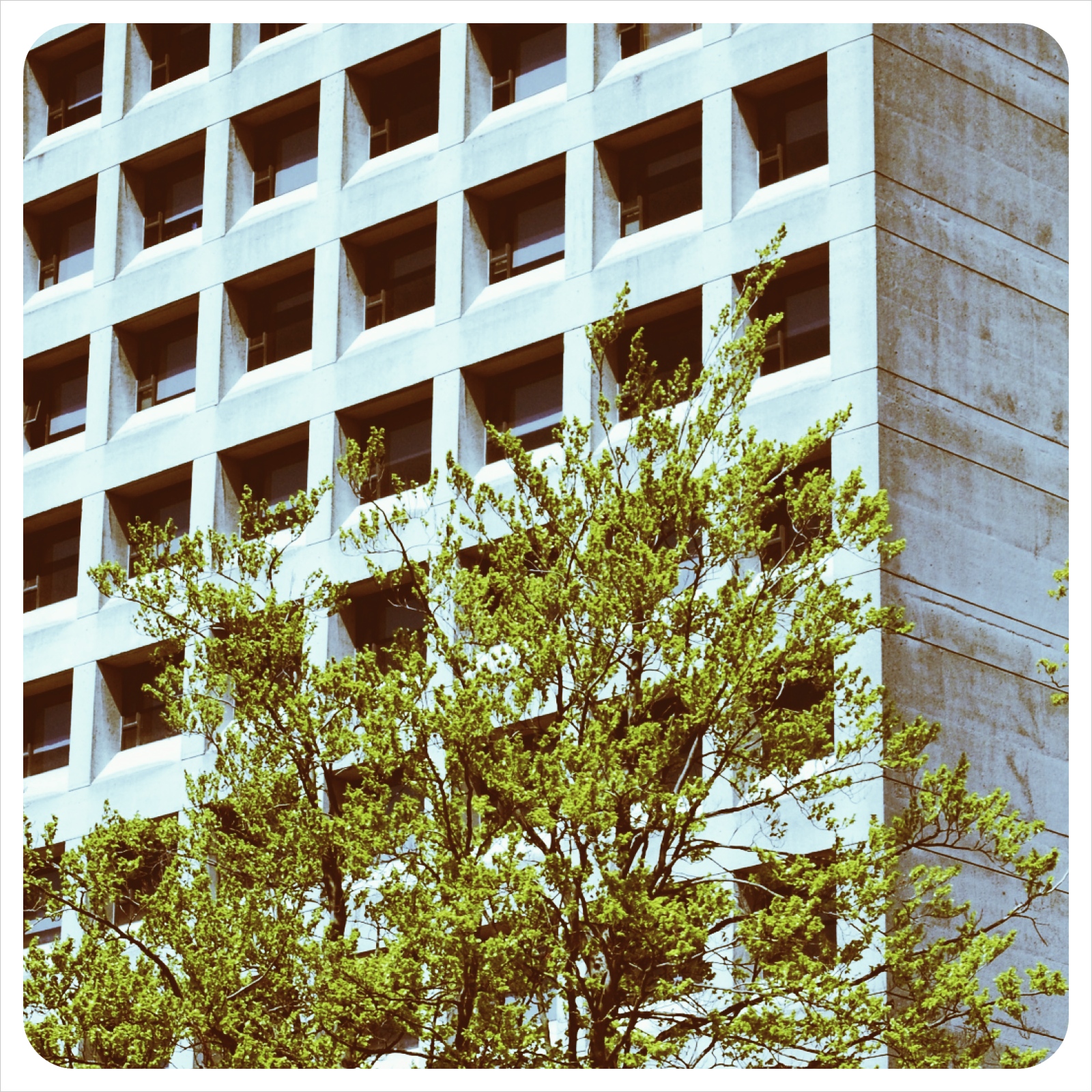 Buchanan Tower, UBC