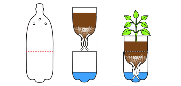 container_gardening