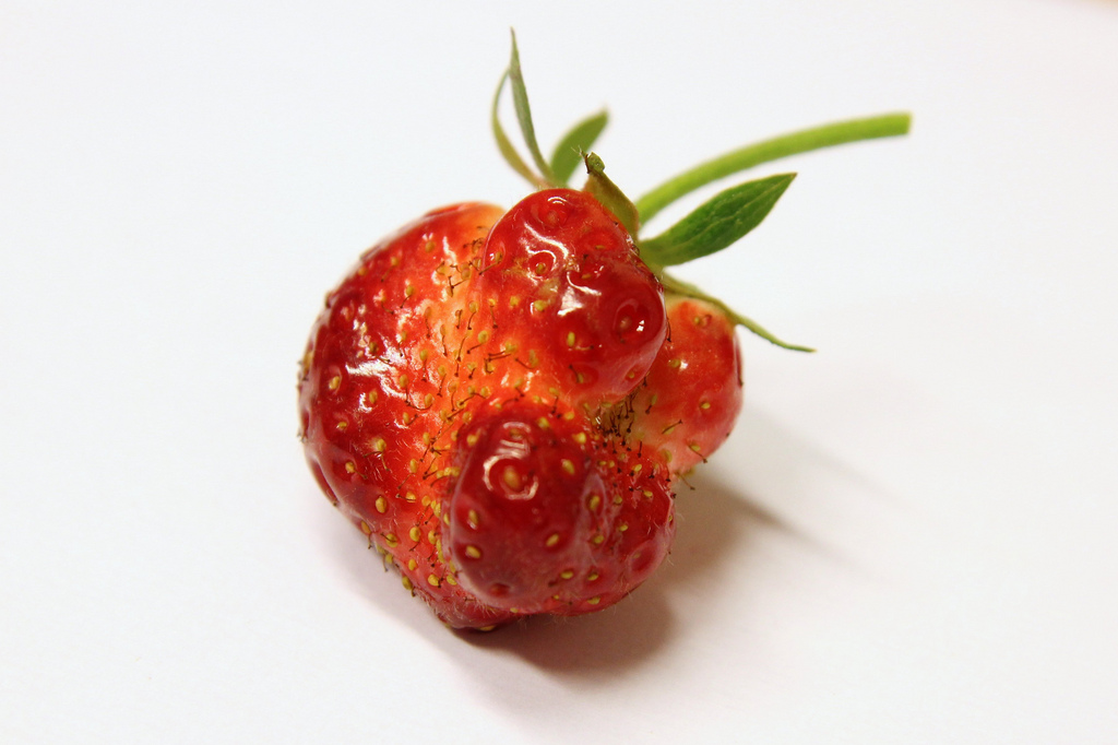 ugly_fruit_image