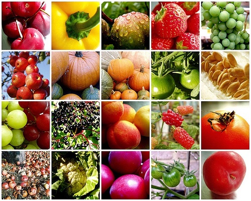 fruit-vegetable-mosaic