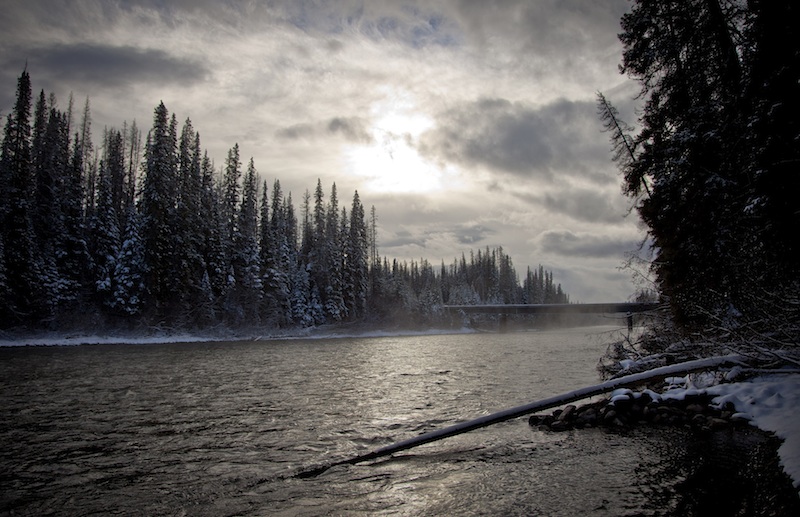 Morice River in B.C.