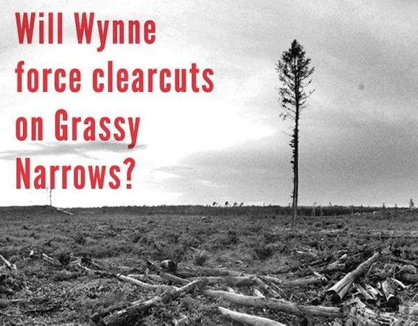 grassy-narrows-logging-poster