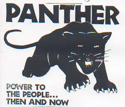 black_panthers