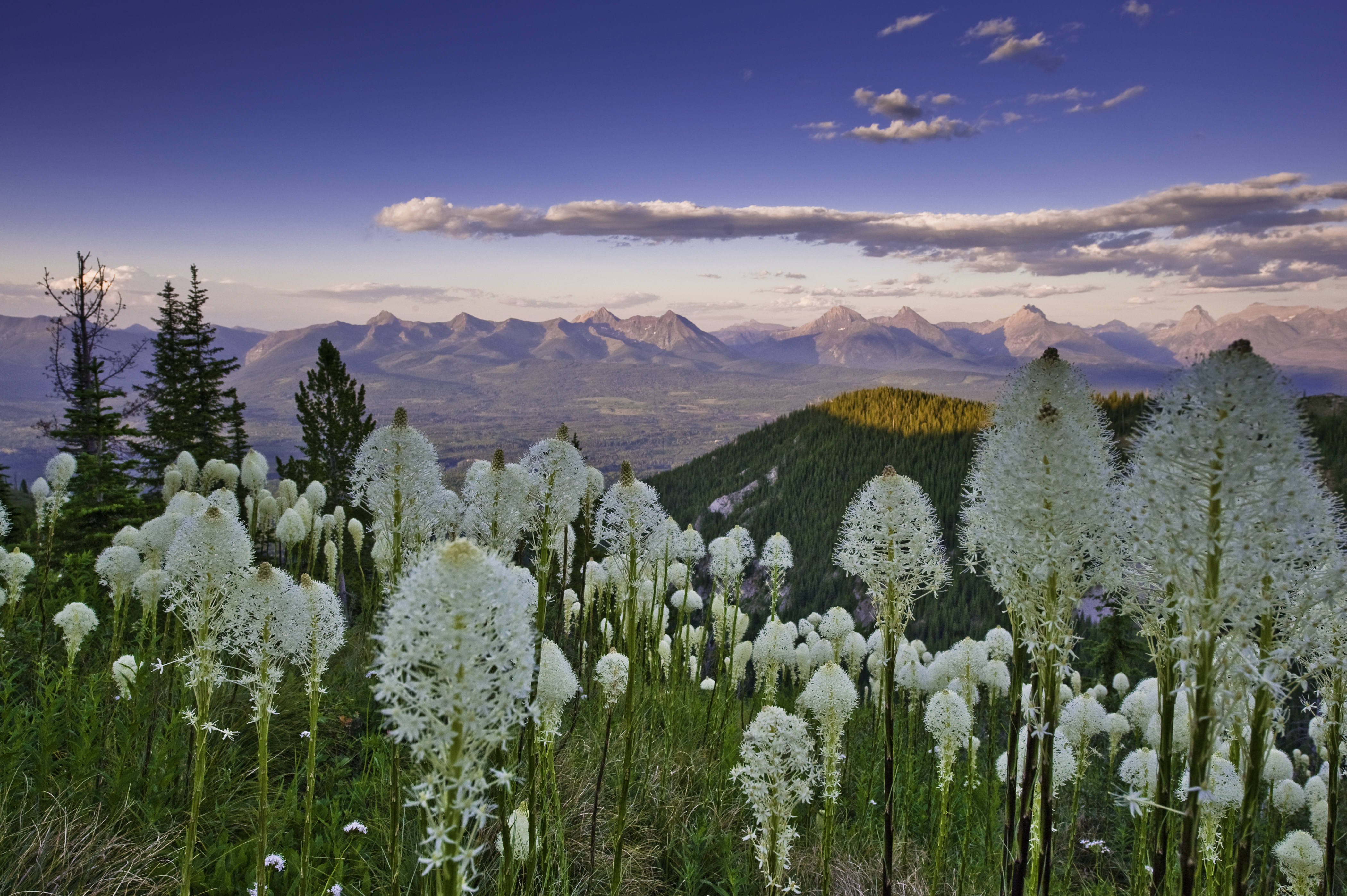 Image: Garth Lenz, Canadian Parks and Wilderness Society