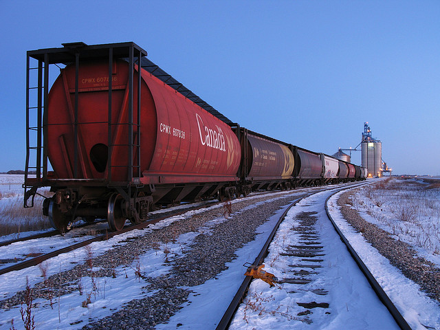 grain_train