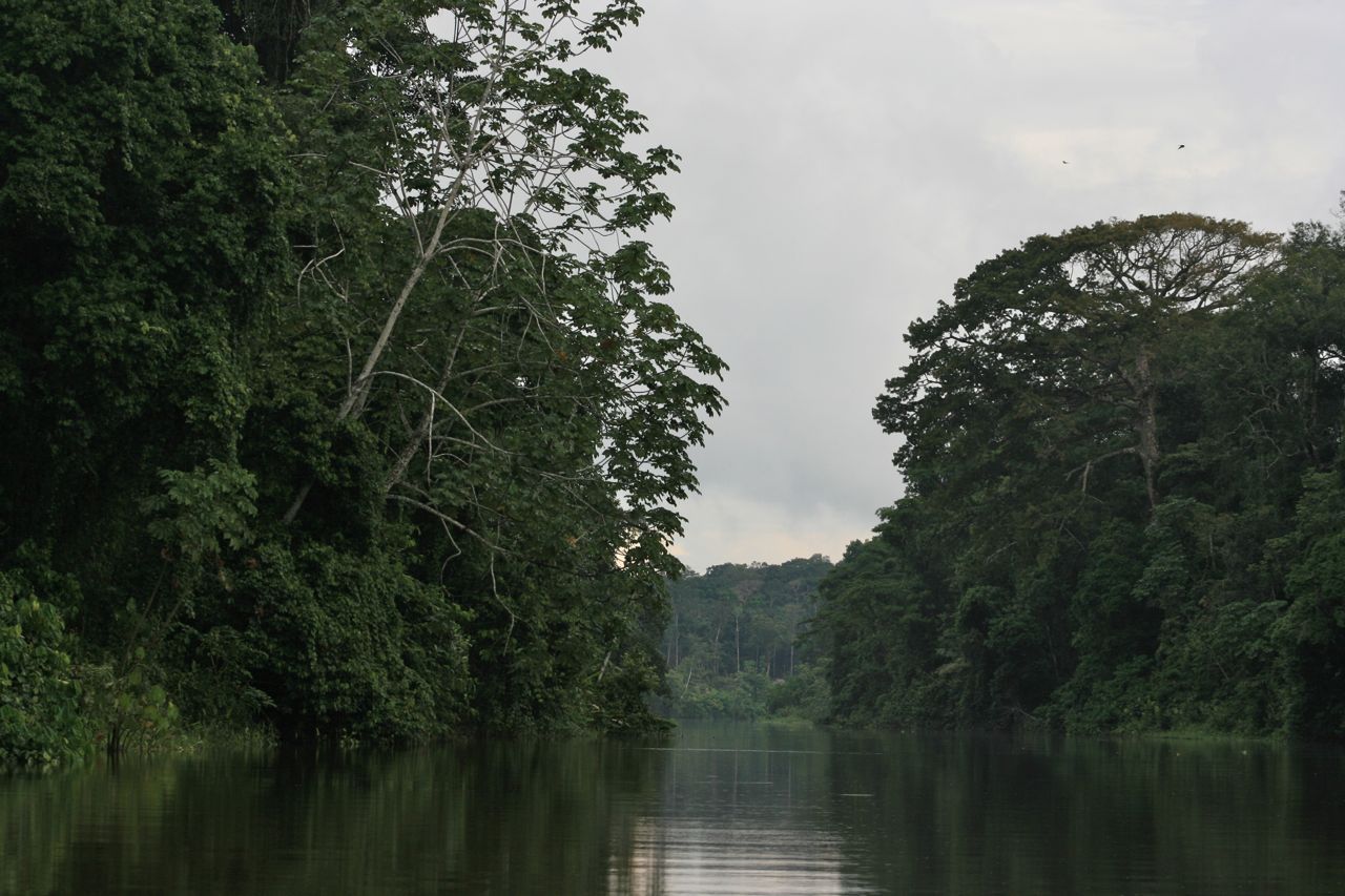 The Napo River in Ecuador gives way to the Yasuni River.