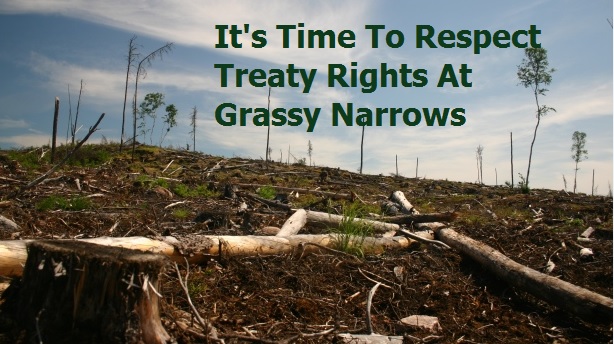 grassy_narrows_3