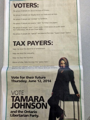 tamara-johnson-political-ad