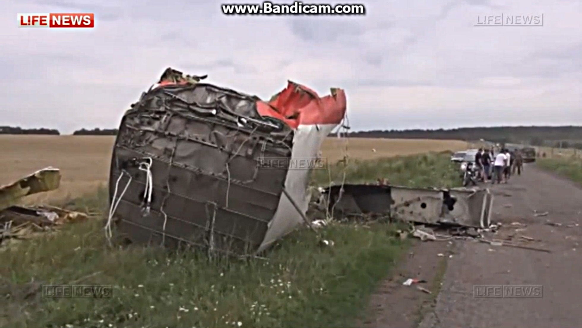 Malaysian Airlines Flight MH-17