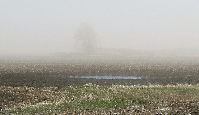 red_river_flooding