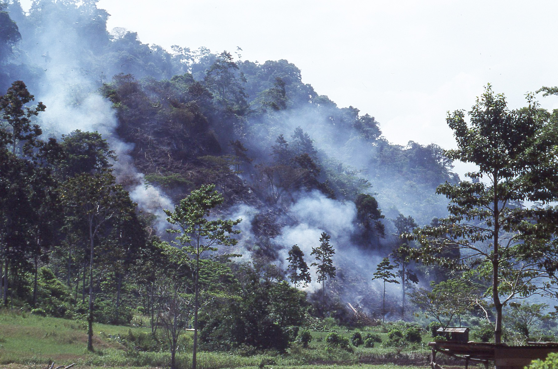 Rain Forest Burning in Talamanca, Costa Rica