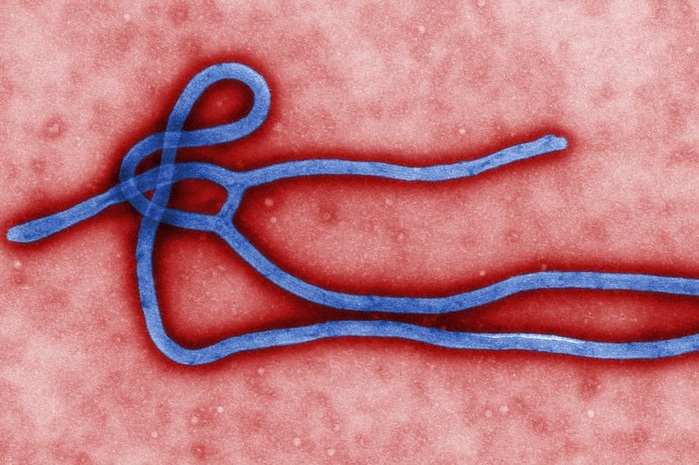 ebola1