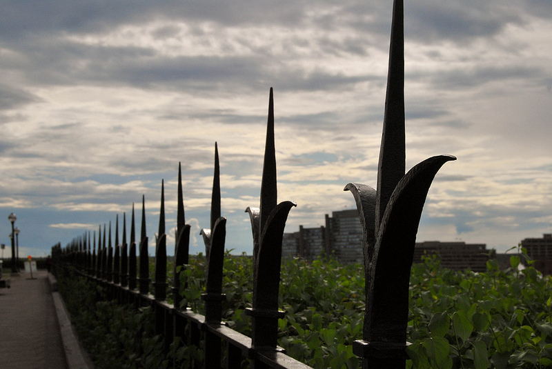 parliament_fence