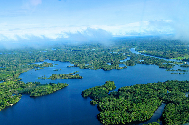 Photo by Neil Palmer/CIAT for Center for International Forestry Research (CIFOR)