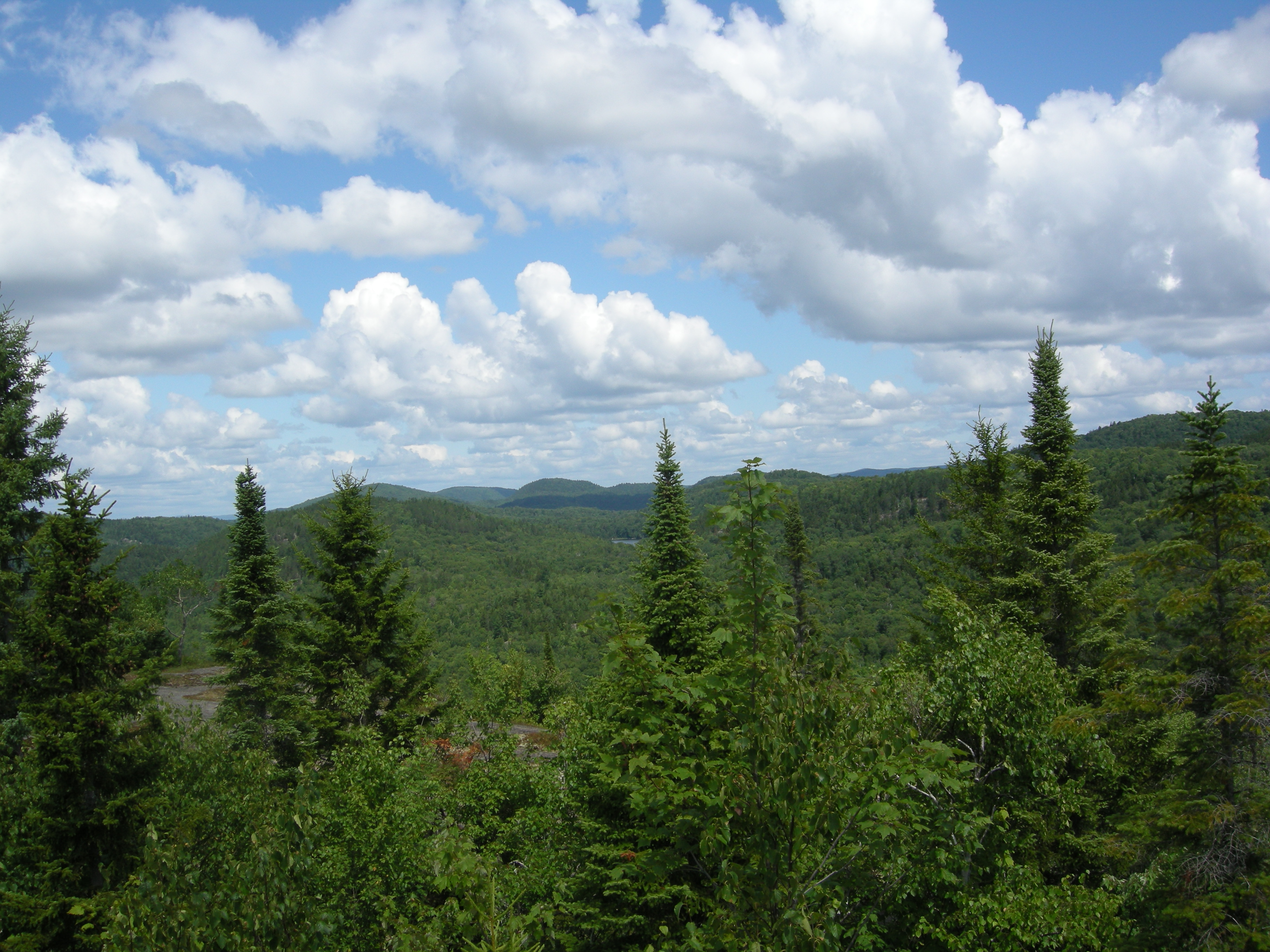 Summit of Mont Gorille, Labelle, Quebec. Photo: Karl Nerenberg