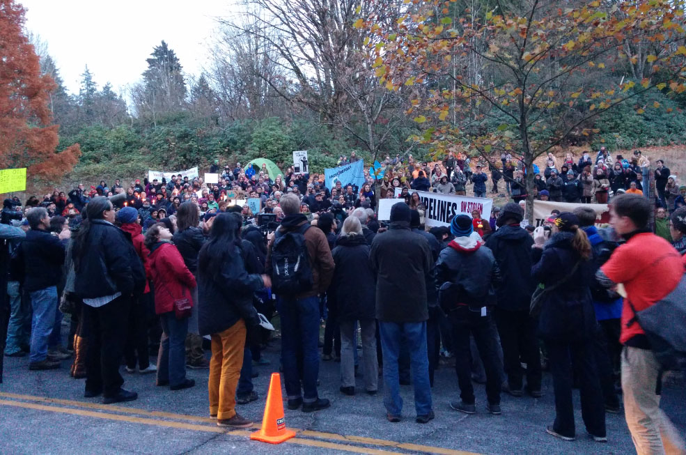 solidarity_rally_on_burnaby_mountain_nov_17_2014_photo_by_roger_annis