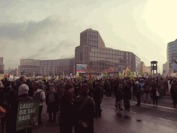 25,000 people protest GMOs, CETA and TTIP in Berlin on January 17. Twitter photo