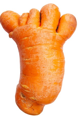 ugly_carrot