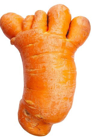 Ugly Fruit and Veg on X: Ooh La La, More Carrot Legs! These