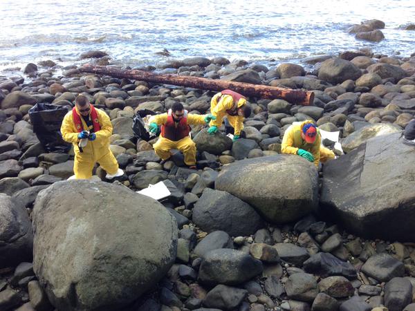 crews_clean_oil_off_shoreline_of_stanley_park_in_vancouver_meera_bains_cbc_news_on_twitter