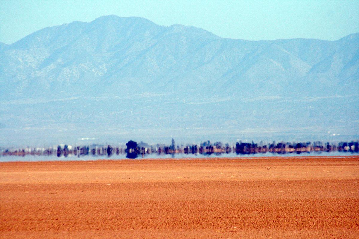 Photo of Desert Mirage by Brocken Inaglory