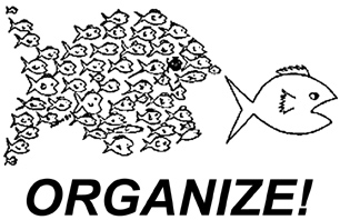 organize