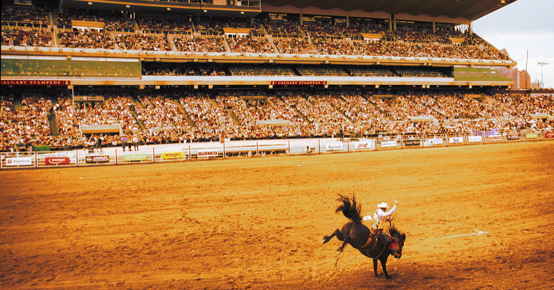 Calgary Stampede Rodeo 2009