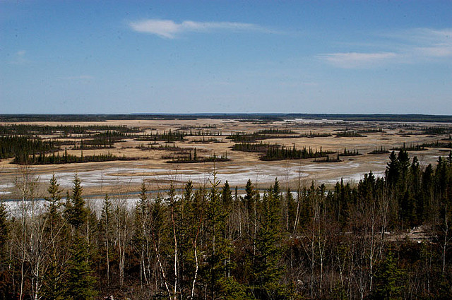 The Salt Plains of Wood Buffalo National Park, Northwest Territories, Canada ©20